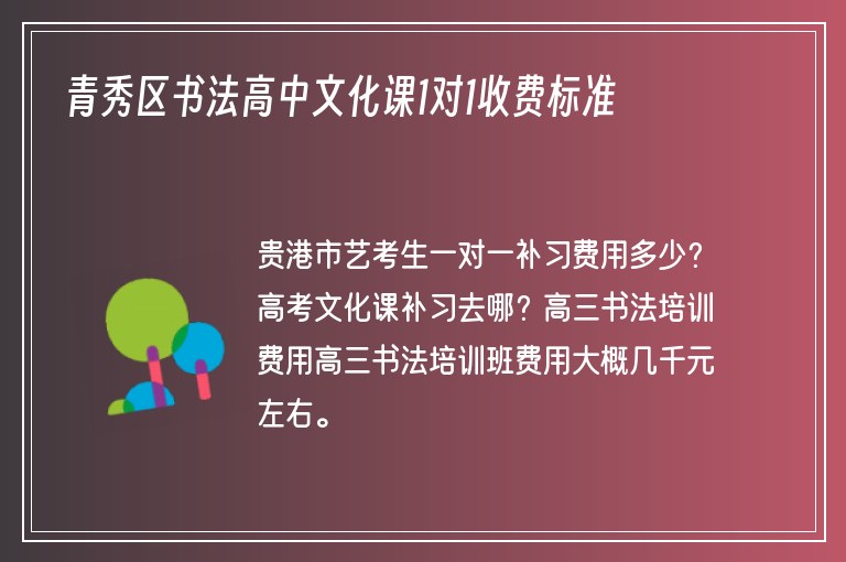 青秀區(qū)書(shū)法高中文化課1對(duì)1收費(fèi)標(biāo)準(zhǔn)