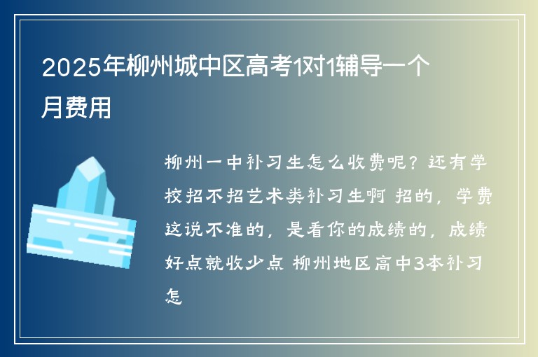 2025年柳州城中區(qū)高考1對1輔導(dǎo)一個月費用