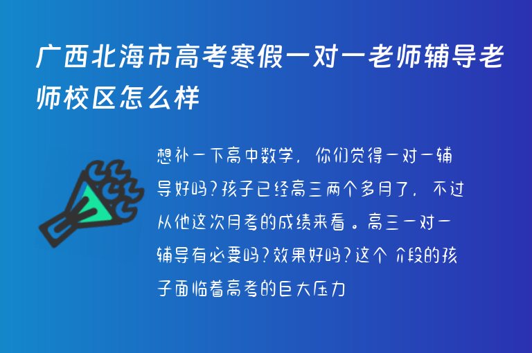 廣西北海市高考寒假一對(duì)一老師輔導(dǎo)老師校區(qū)怎么樣