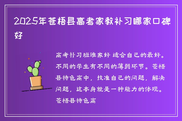 2025年蒼梧縣高考家教補習(xí)哪家口碑好