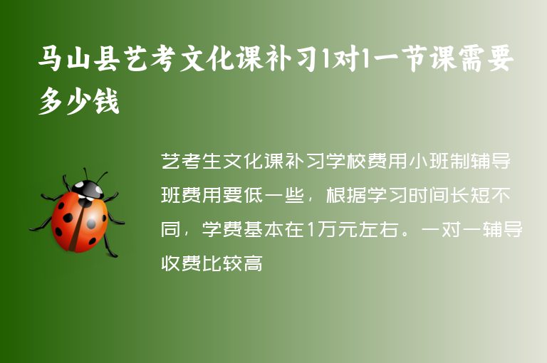 馬山縣藝考文化課補習1對1一節(jié)課需要多少錢