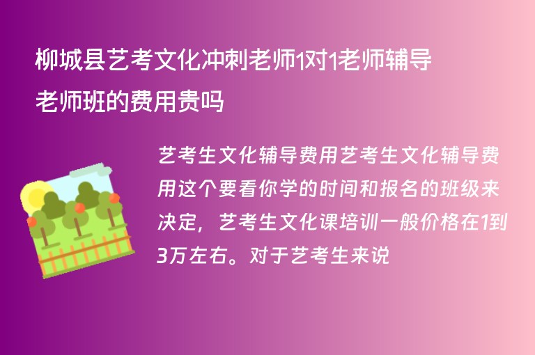 柳城縣藝考文化沖刺老師1對1老師輔導(dǎo)老師班的費用貴嗎