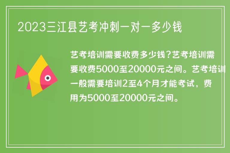 2023三江縣藝考沖刺一對一多少錢