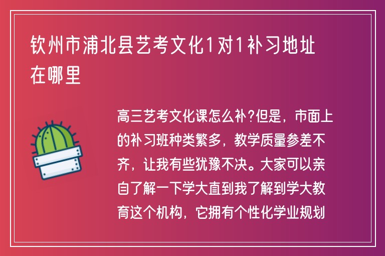 欽州市浦北縣藝考文化1對1補習(xí)地址在哪里