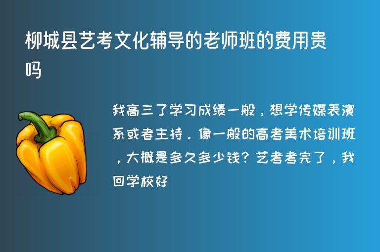 柳城縣藝考文化輔導(dǎo)的老師班的費(fèi)用貴嗎