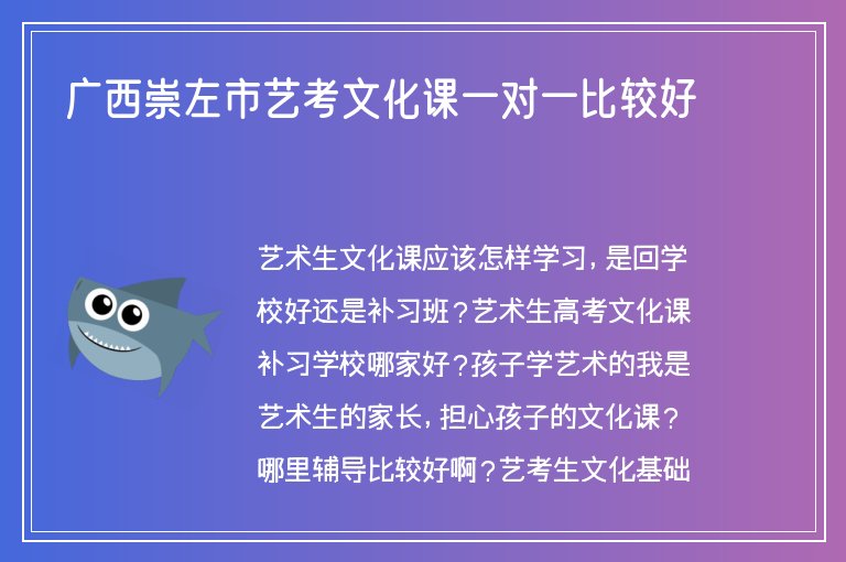 廣西崇左市藝考文化課一對一比較好