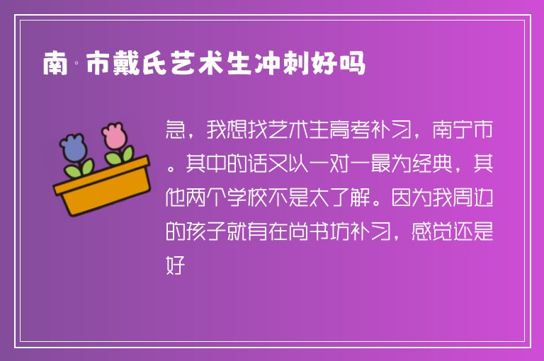 南寧市戴氏藝術生沖刺好嗎