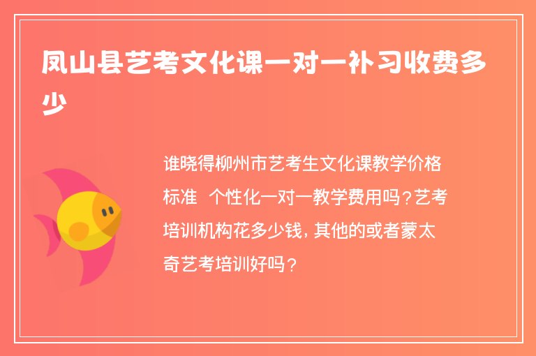 鳳山縣藝考文化課一對一補習收費多少