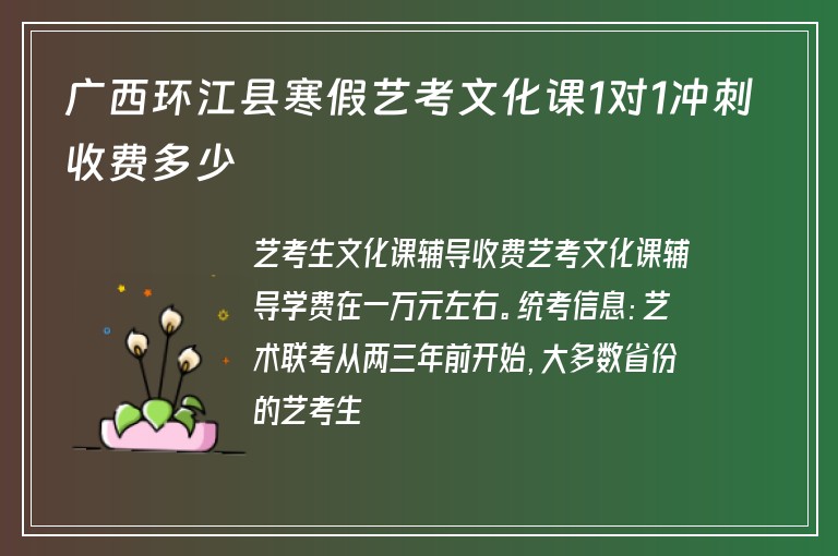 廣西環(huán)江縣寒假藝考文化課1對1沖刺收費多少