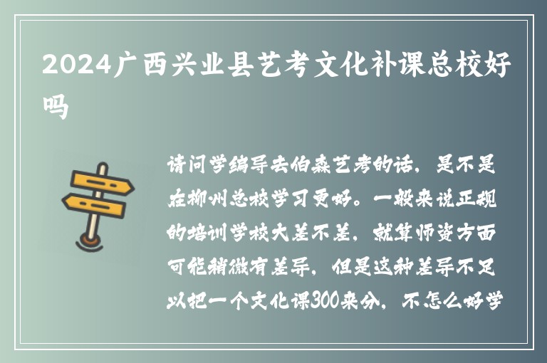 2024廣西興業(yè)縣藝考文化補(bǔ)課總校好嗎