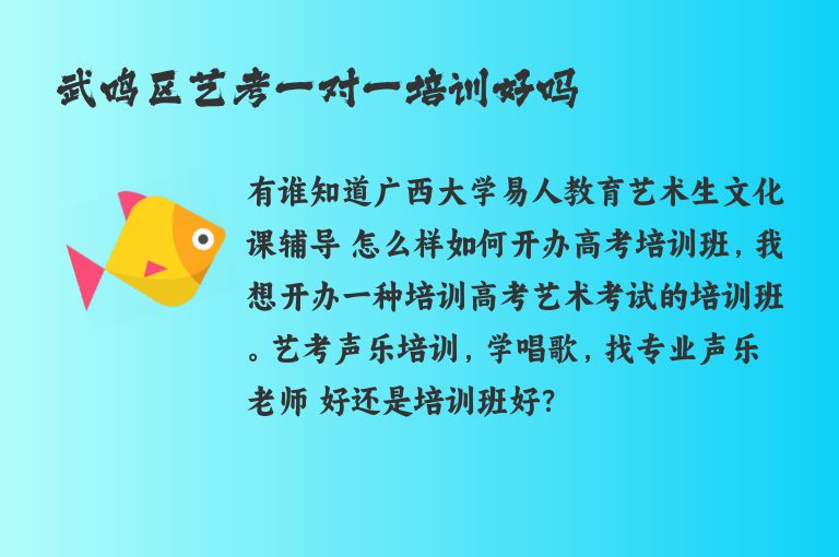 武鳴區(qū)藝考一對一培訓(xùn)好嗎