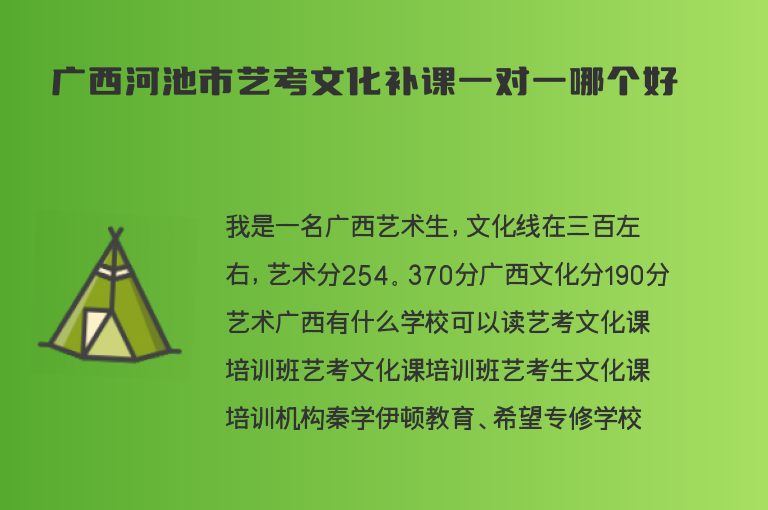 廣西河池市藝考文化補課一對一哪個好