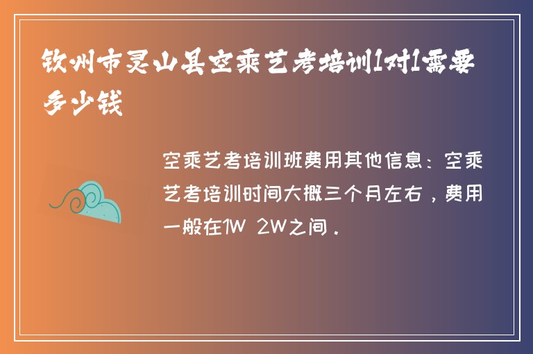 欽州市靈山縣空乘藝考培訓(xùn)1對(duì)1需要多少錢