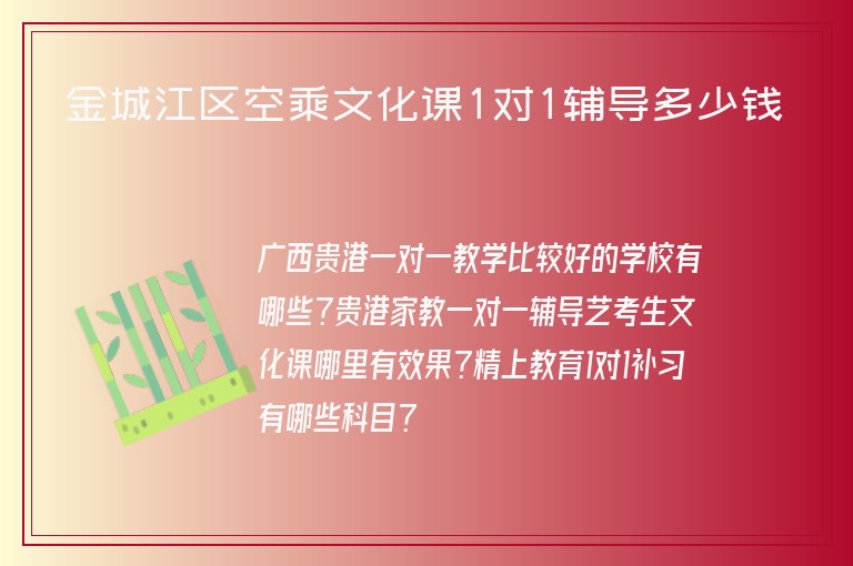 金城江區(qū)空乘文化課1對1輔導多少錢