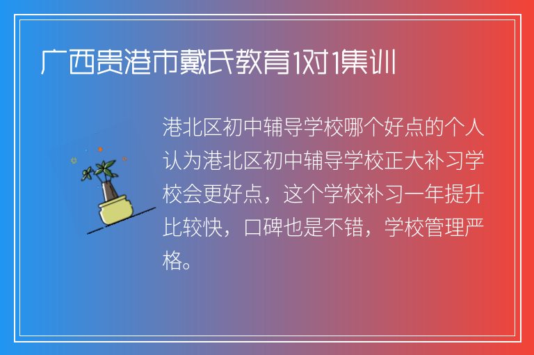 廣西貴港市戴氏教育1對(duì)1集訓(xùn)