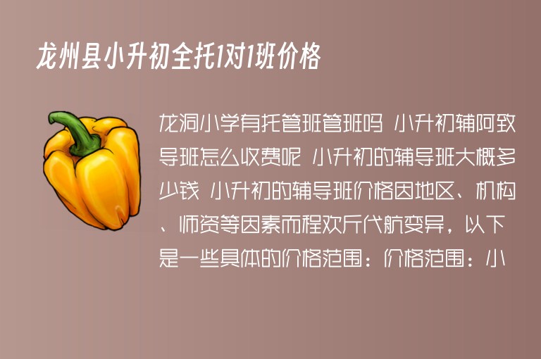 龍州縣小升初全托1對1班價格