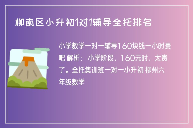 柳南區(qū)小升初1對1輔導全托排名