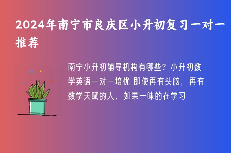 2024年南寧市良慶區(qū)小升初復(fù)習(xí)一對(duì)一推薦