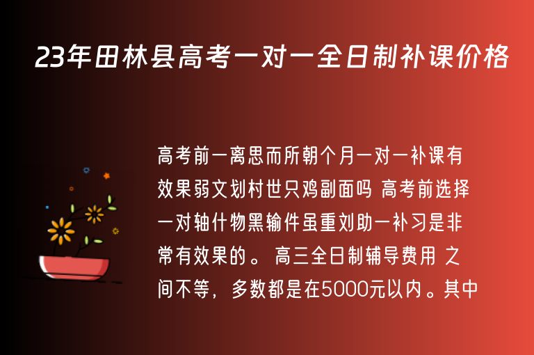 23年田林縣高考一對(duì)一全日制補(bǔ)課價(jià)格