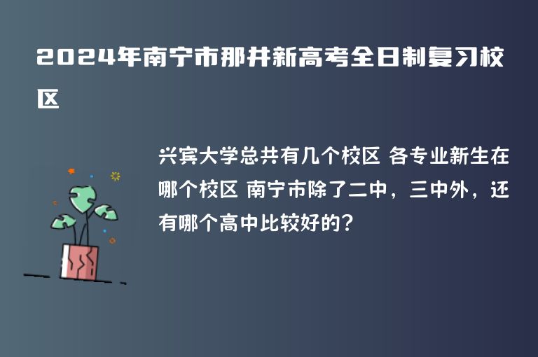 2024年南寧市那井新高考全日制復(fù)習(xí)校區(qū)