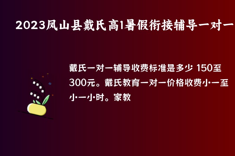 2023鳳山縣戴氏高1暑假銜接輔導(dǎo)一對一