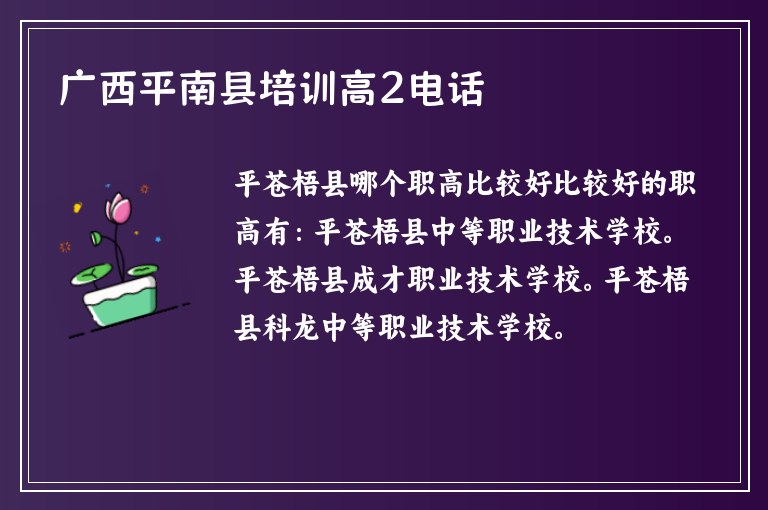 廣西平南縣培訓高2電話