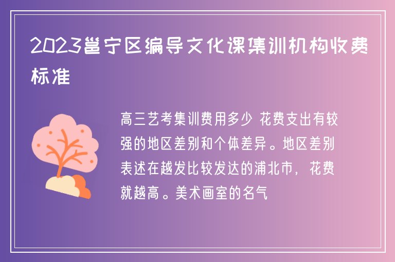 2023邕寧區(qū)編導文化課集訓機構(gòu)收費標準