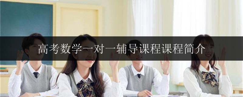 高考數(shù)學(xué)一對一輔導(dǎo)課程課程簡介