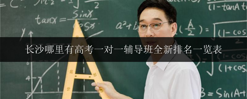 長沙哪里有高考一對一輔導(dǎo)班全新排名一覽表