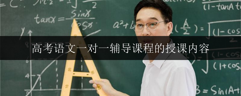 高考語文一對一輔導(dǎo)課程的授課內(nèi)容