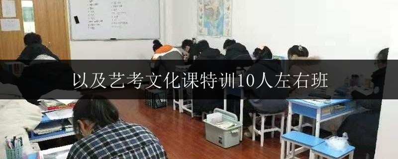 以及藝考文化課特訓(xùn)10人左右班