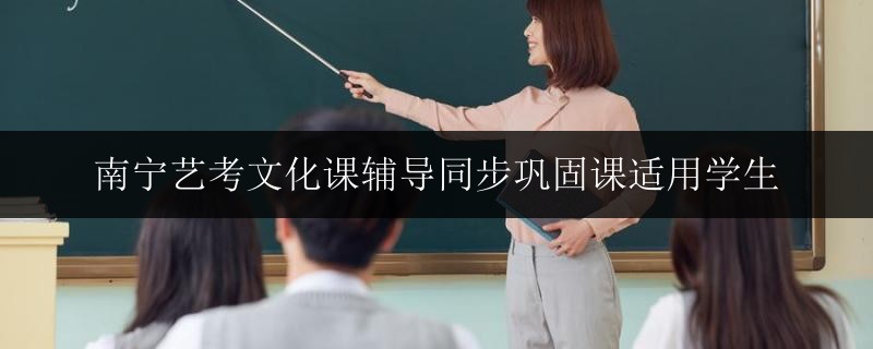 南寧藝考文化課輔導(dǎo)同步鞏固課適用學(xué)生