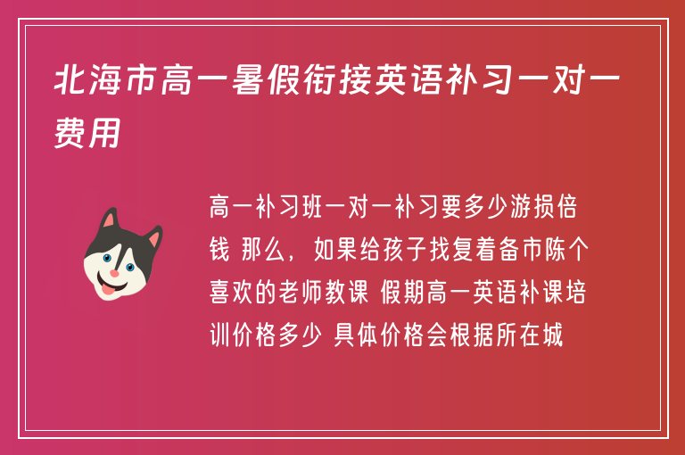 北海市高一暑假銜接英語補(bǔ)習(xí)一對一費(fèi)用