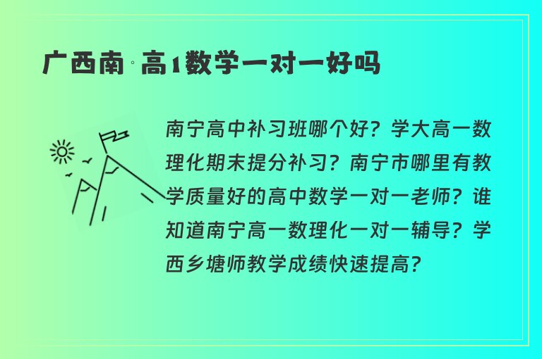 廣西南寧高1數(shù)學(xué)一對一好嗎