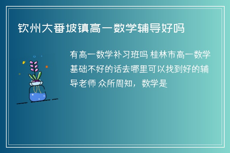 欽州大番坡鎮(zhèn)高一數(shù)學輔導好嗎