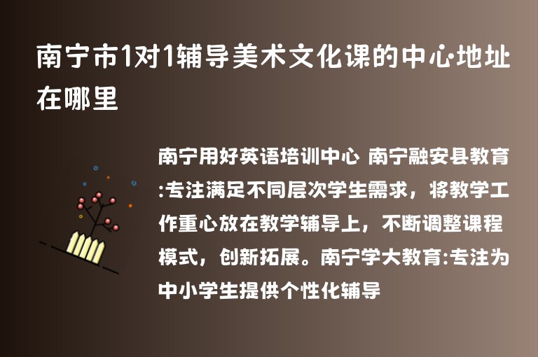 南寧市1對1輔導美術文化課的中心地址在哪里