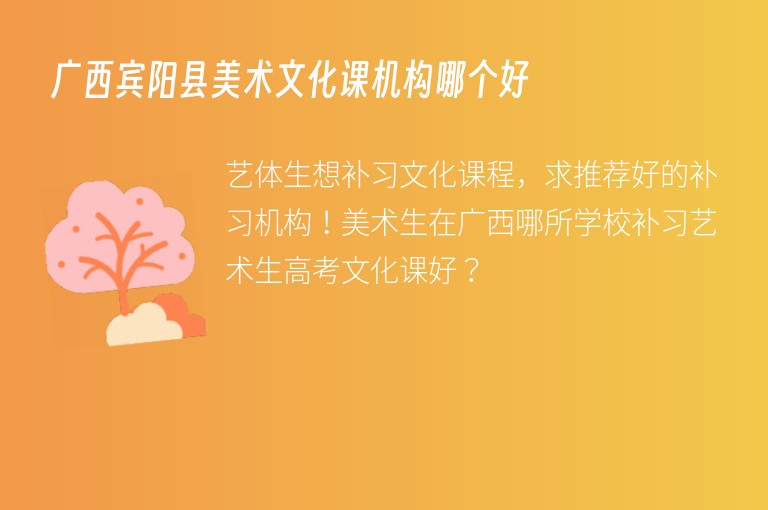 廣西賓陽(yáng)縣美術(shù)文化課機(jī)構(gòu)哪個(gè)好