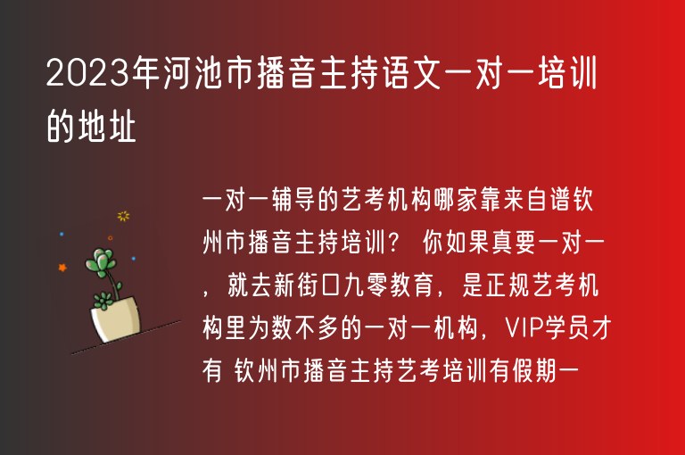 2023年河池市播音主持語文一對一培訓(xùn)的地址