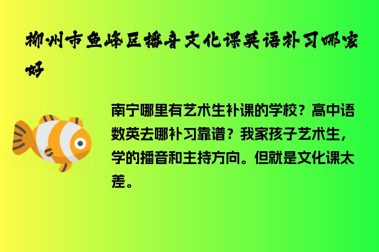 柳州市魚峰區(qū)播音文化課英語補(bǔ)習(xí)哪家好