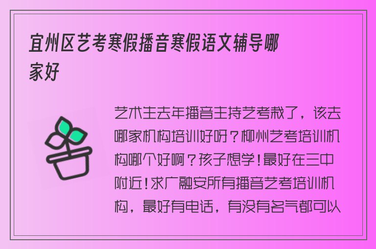 宜州區(qū)藝考寒假播音寒假語文輔導哪家好