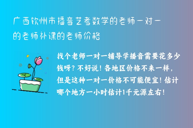 廣西欽州市播音藝考數(shù)學(xué)的老師一對一的老師補課的老師價格