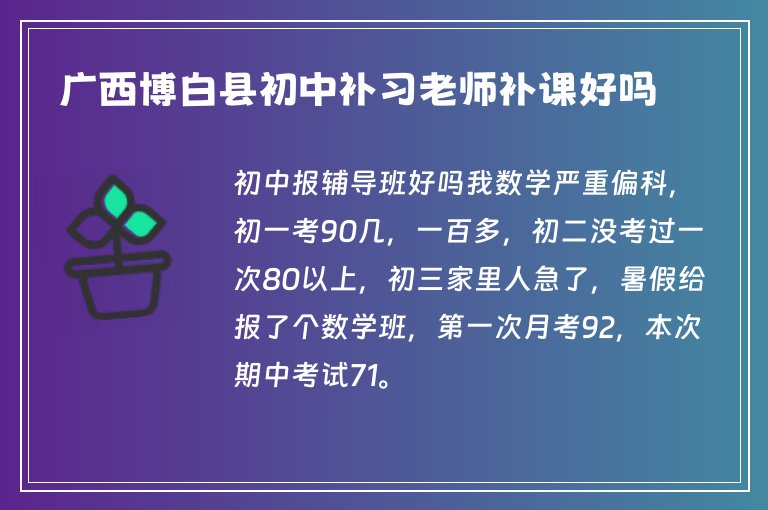 廣西博白縣初中補習(xí)老師補課好嗎