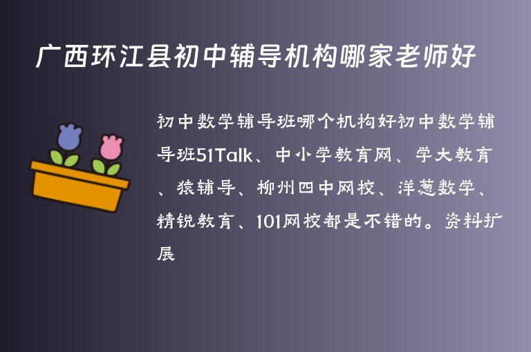 廣西環(huán)江縣初中輔導(dǎo)機(jī)構(gòu)哪家老師好