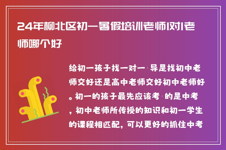 24年柳北區(qū)初一暑假培訓老師1對1老師哪個好