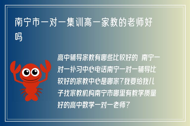 南寧市一對(duì)一集訓(xùn)高一家教的老師好嗎