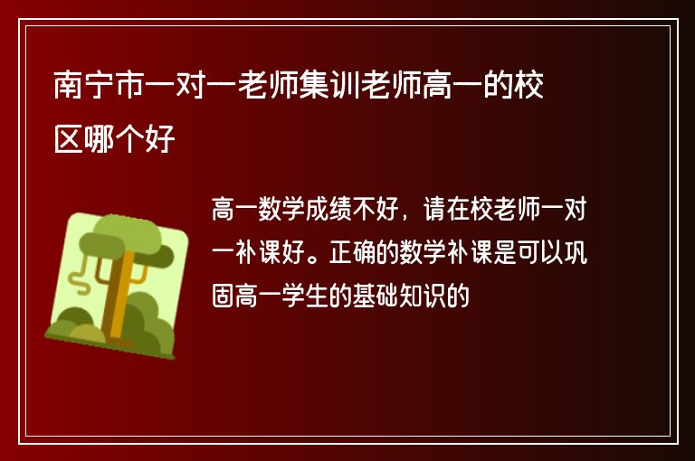 南寧市一對(duì)一老師集訓(xùn)老師高一的校區(qū)哪個(gè)好