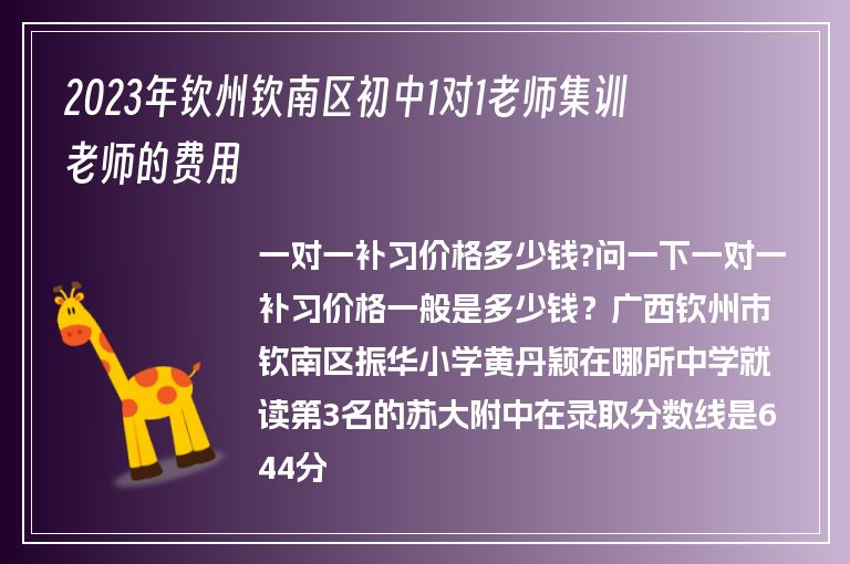 2023年欽州欽南區(qū)初中1對1老師集訓(xùn)老師的費(fèi)用