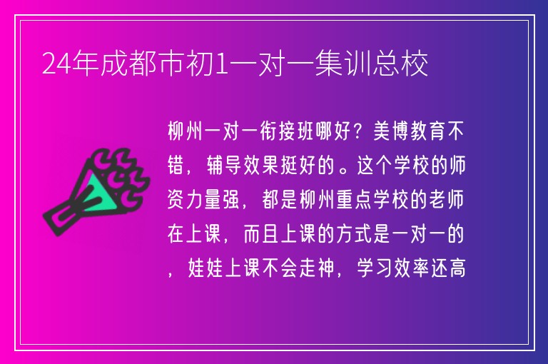 24年成都市初1一對(duì)一集訓(xùn)總校