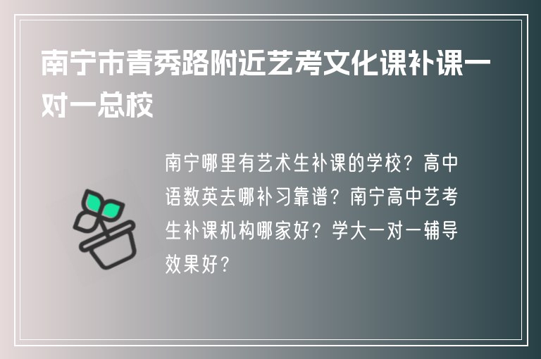 南寧市青秀路附近藝考文化課補課一對一總校