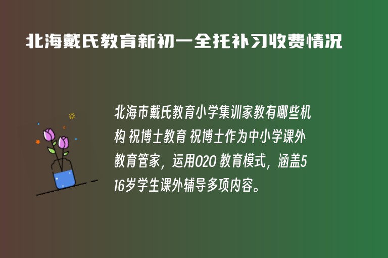 北海戴氏教育新初一全托補(bǔ)習(xí)收費(fèi)情況